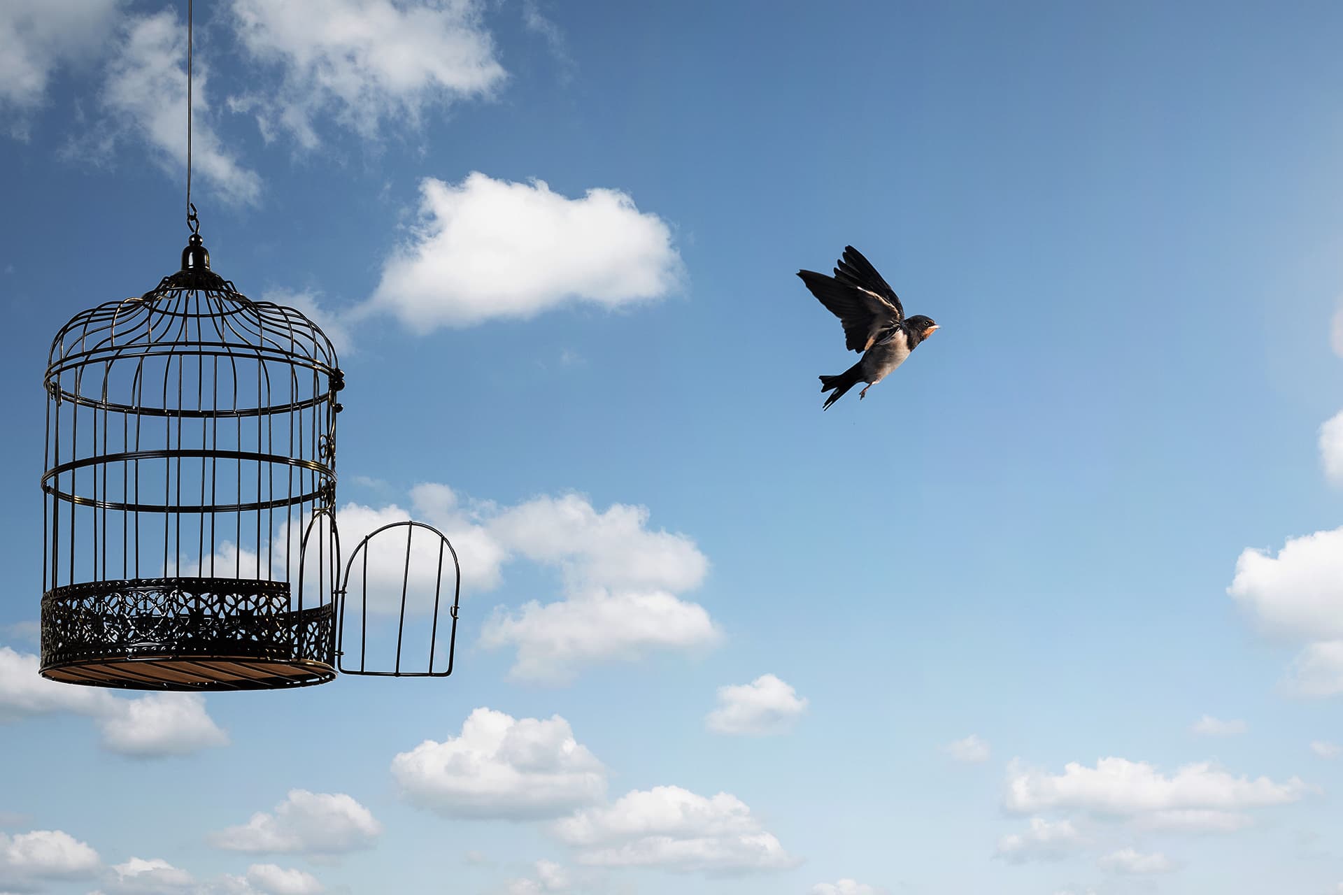 Im Traum wurde der Vogel aus seinem Käfig befreit