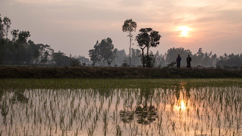 Missionare in Bangladesch sehr geschätzt