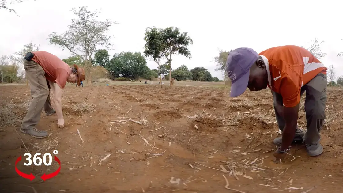Sambia Feldanbau in Mushili 360°