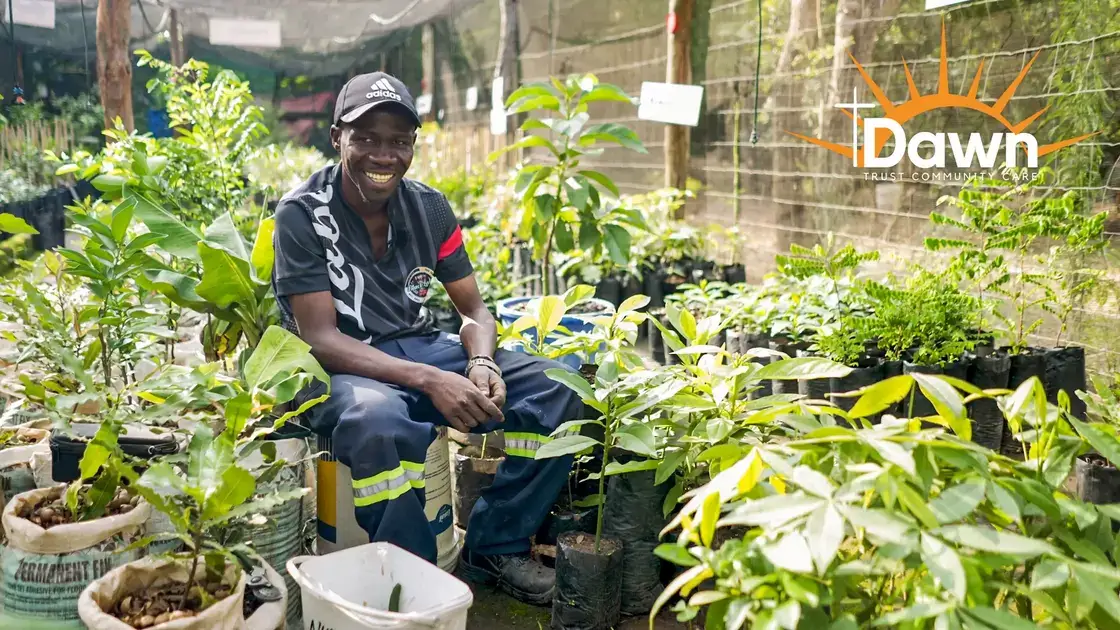 Tree nursery