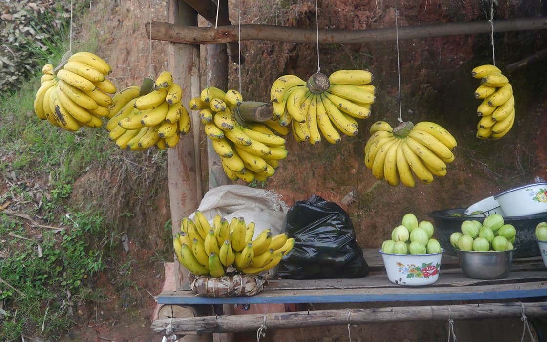 Mehrere Bananensträuße hängen über einem Tisch bei einer Veranstaltung von Projekt Leben in Burundi, mit Schalen und grünen Früchten im Freien.
