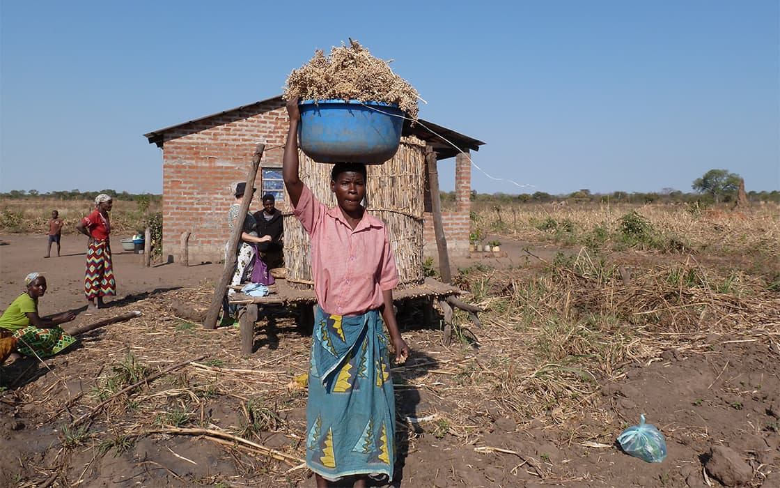 In Nabwalya, Sambia, trägt eine Person eine blaue Schale mit Getreide auf dem Kopf in der Nähe eines ländlichen Backsteinhauses und sucht Hilfe.