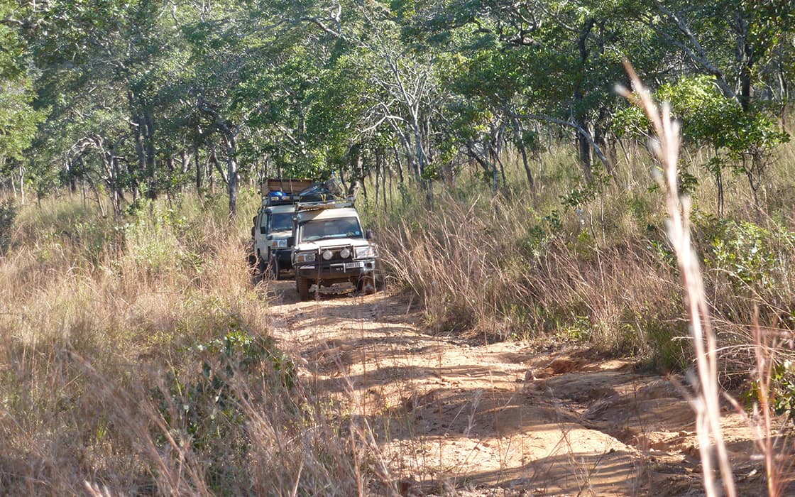 Zwei Geländewagen fahren durch das hohe Gras im Nabwalya-Wald in Sambia und bieten den abgelegenen Gemeinden Hilfe an.
