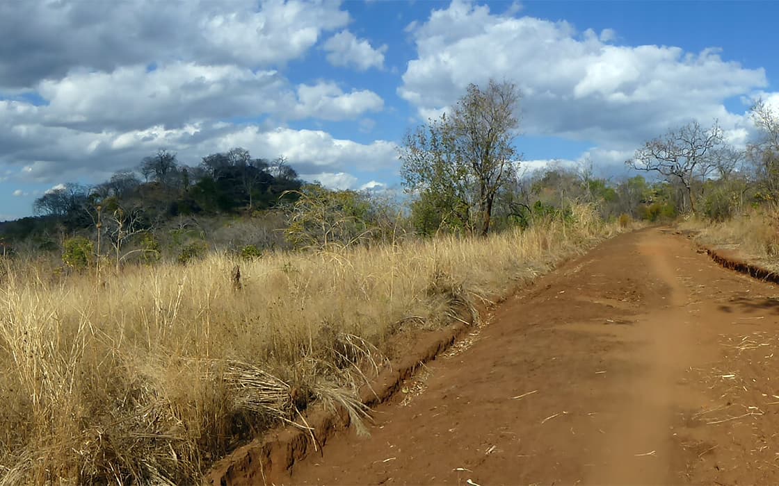 Eine unbefestigte Straße führt durch trockenes Gras und vereinzelte Bäume unter dem Himmel von Radio L Malawi.