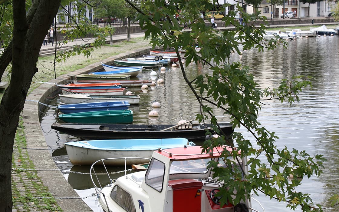 Kleine Boote liegen an einem ruhigen Flussufer in Westfrankreich vor Anker, teilweise verdeckt durch belaubte Äste im Vordergrund.