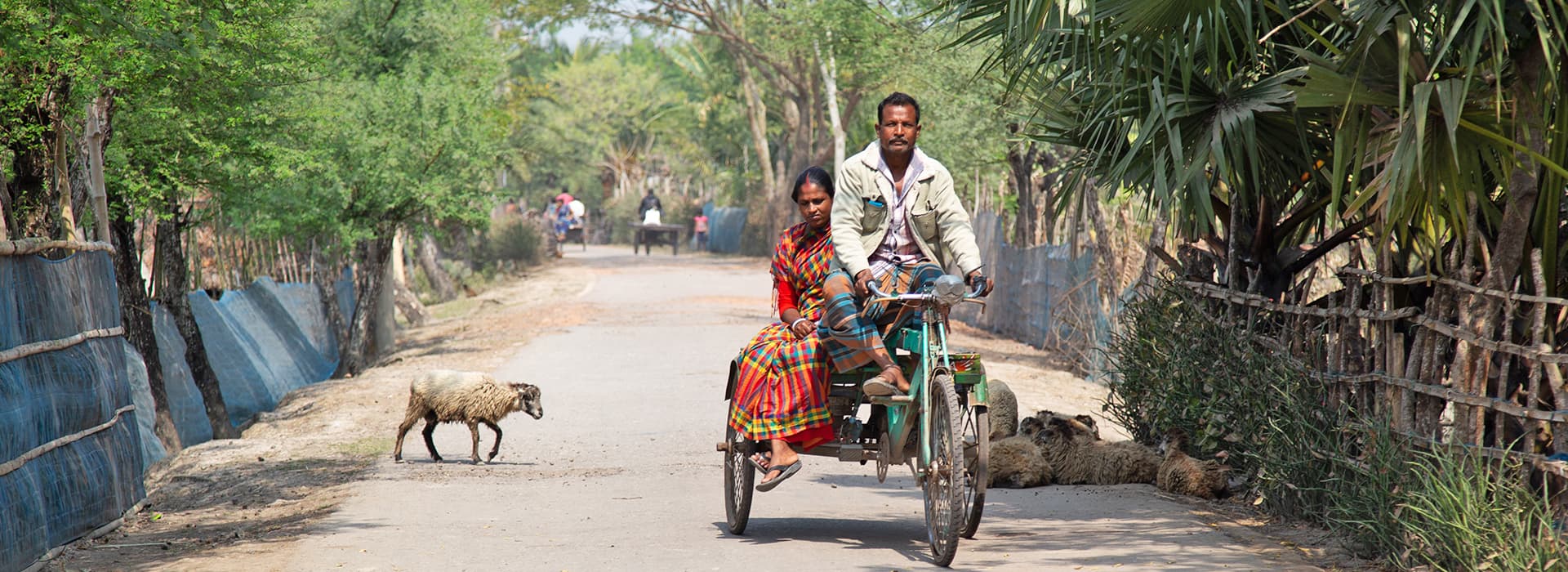 Ein Mann auf einer Rikscha mit einer weiblichen Passagierin auf einer Landstraße, während in der Nähe Schafe grasen, aufgenommen von Katrin Ulmer.