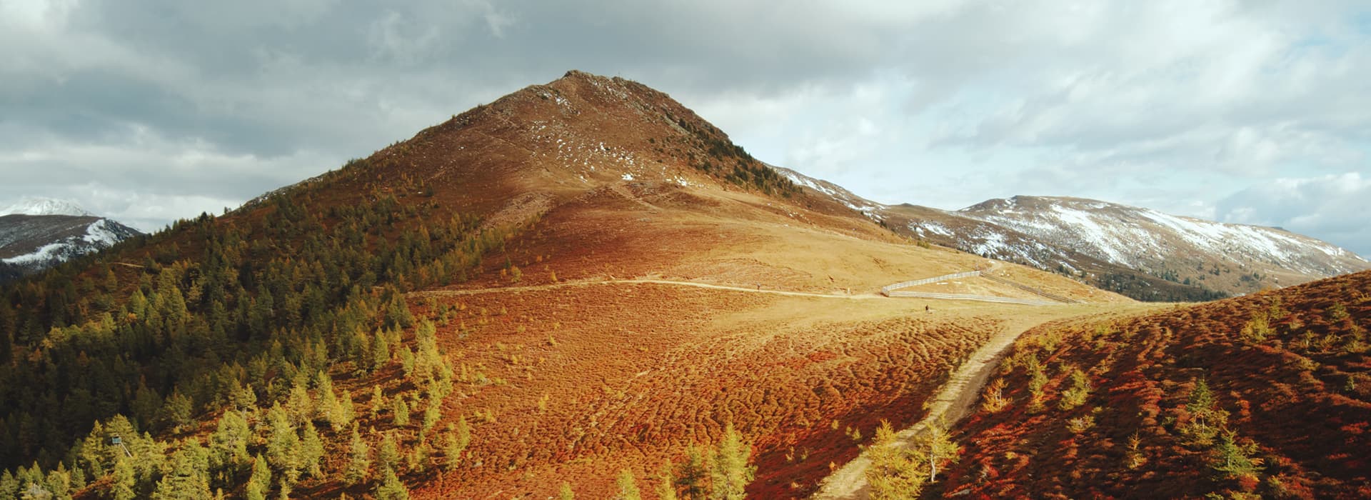 Ein grasbewachsener Berghang mit vereinzelten Bäumen unter Wolken, ein Feldweg schlängelt sich hinauf.