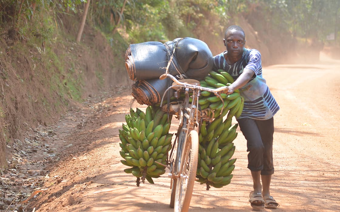 Eine Person schiebt ein mit Bananen und Matten beladenes Fahrrad über eine staubige Landstraße.