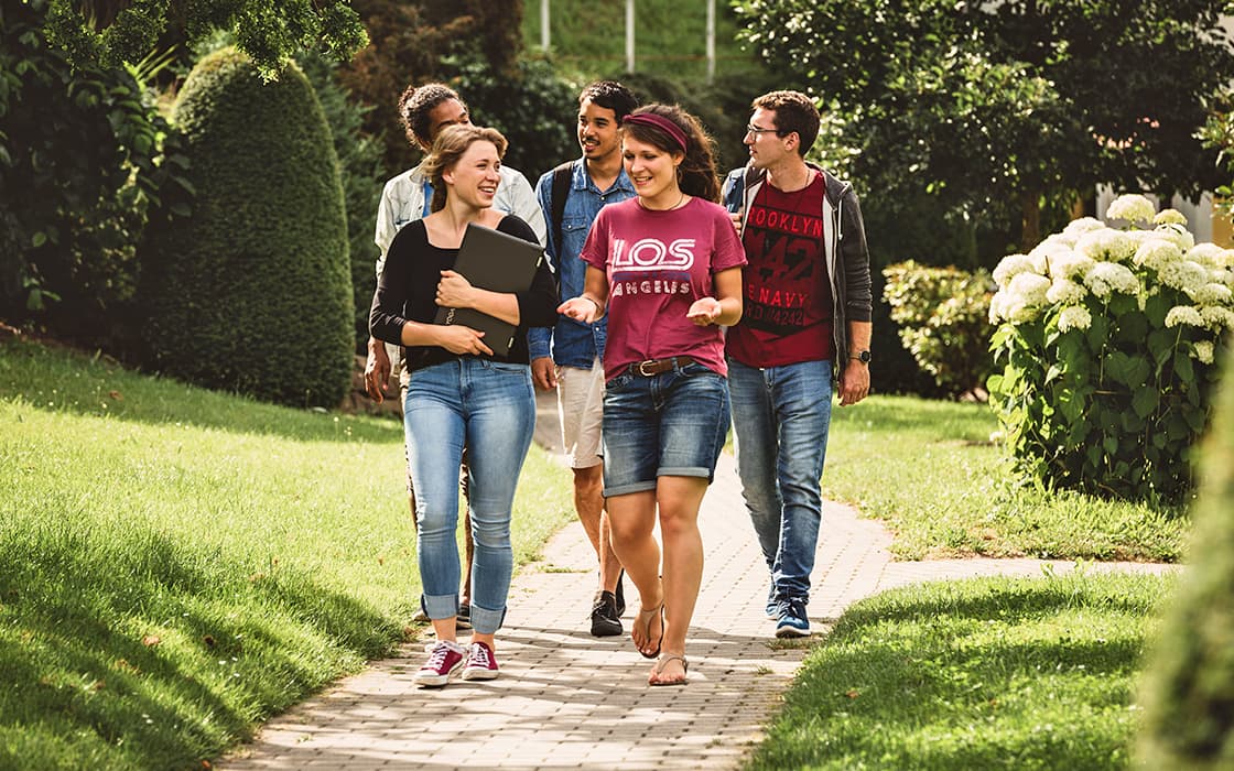 Fünf junge Erwachsene gehen auf einem sonnigen Weg in einem grünen Park spazieren und unterhalten sich, sie wirken glücklich und entspannt.