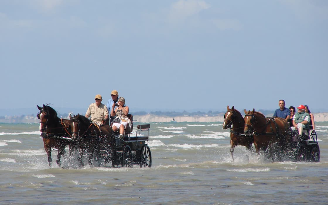 Zwei Pferdekutschen mit Menschen fahren an einem sonnigen Tag durch das seichte Wasser am Strand.