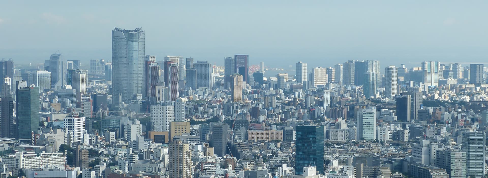 Ein Panoramablick auf eine dichte Stadtsilhouette mit vielen modernen Hochhäusern unter einem dunstigen Himmel.