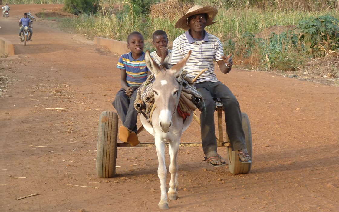 Ein Mann und zwei Kinder fahren mit einem Eselskarren auf einer unbefestigten Straße, im Hintergrund sind Grünflächen und ein weiterer Radfahrer zu sehen.