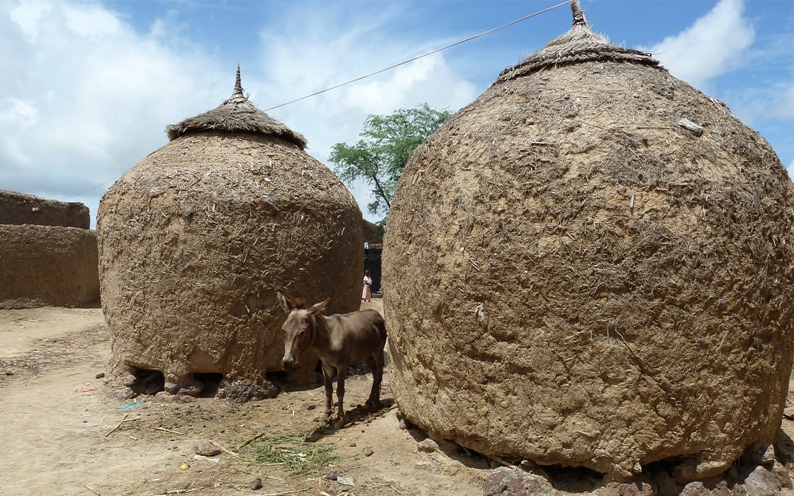 Zwei große runde Lehmhütten mit Strohdächern; zwischen ihnen steht ein Esel unter einem teilweise bewölkten Himmel.