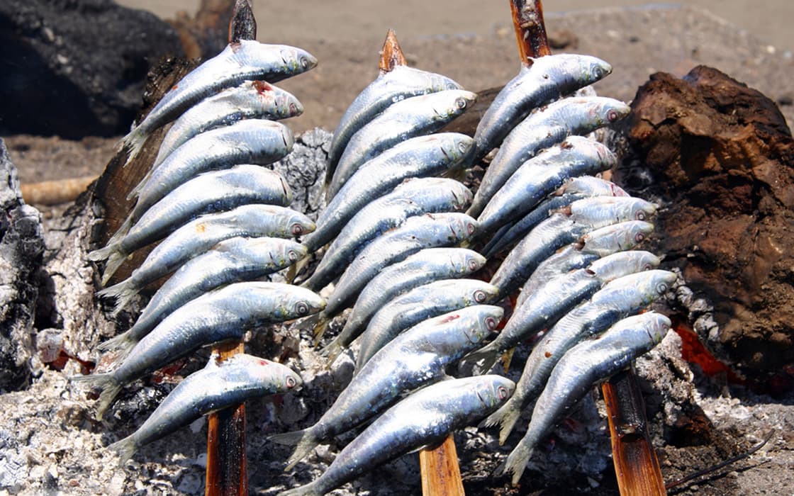 Mehrere Spieße mit ganzen Fischen, die über heißen Kohlen im Freien gebraten werden, aufgereiht auf Holzstäben in Griechenland.