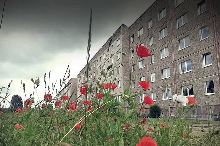 Rote Mohnblumen und wildes Gras wachsen vor einem grauen, mehrstöckigen Wohnhaus unter einem bewölkten Himmel.