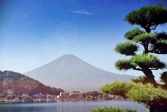 Der Berg Fuji mit einem klaren Himmel, einem See, Gebäuden am Ufer und einer Kiefer im Vordergrund.