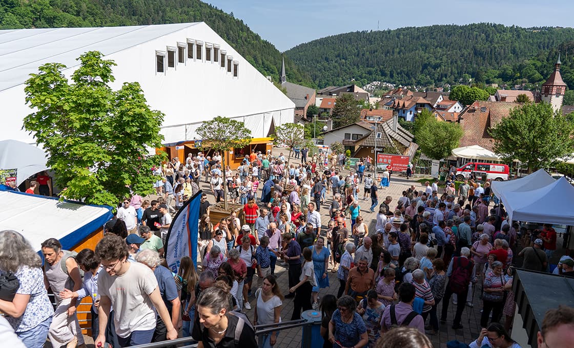 Eine große Menschenmenge versammelt sich bei einem Freiluftfestival in einer kleinen Stadt, die von grünen Hügeln und Gebäuden umgeben ist.