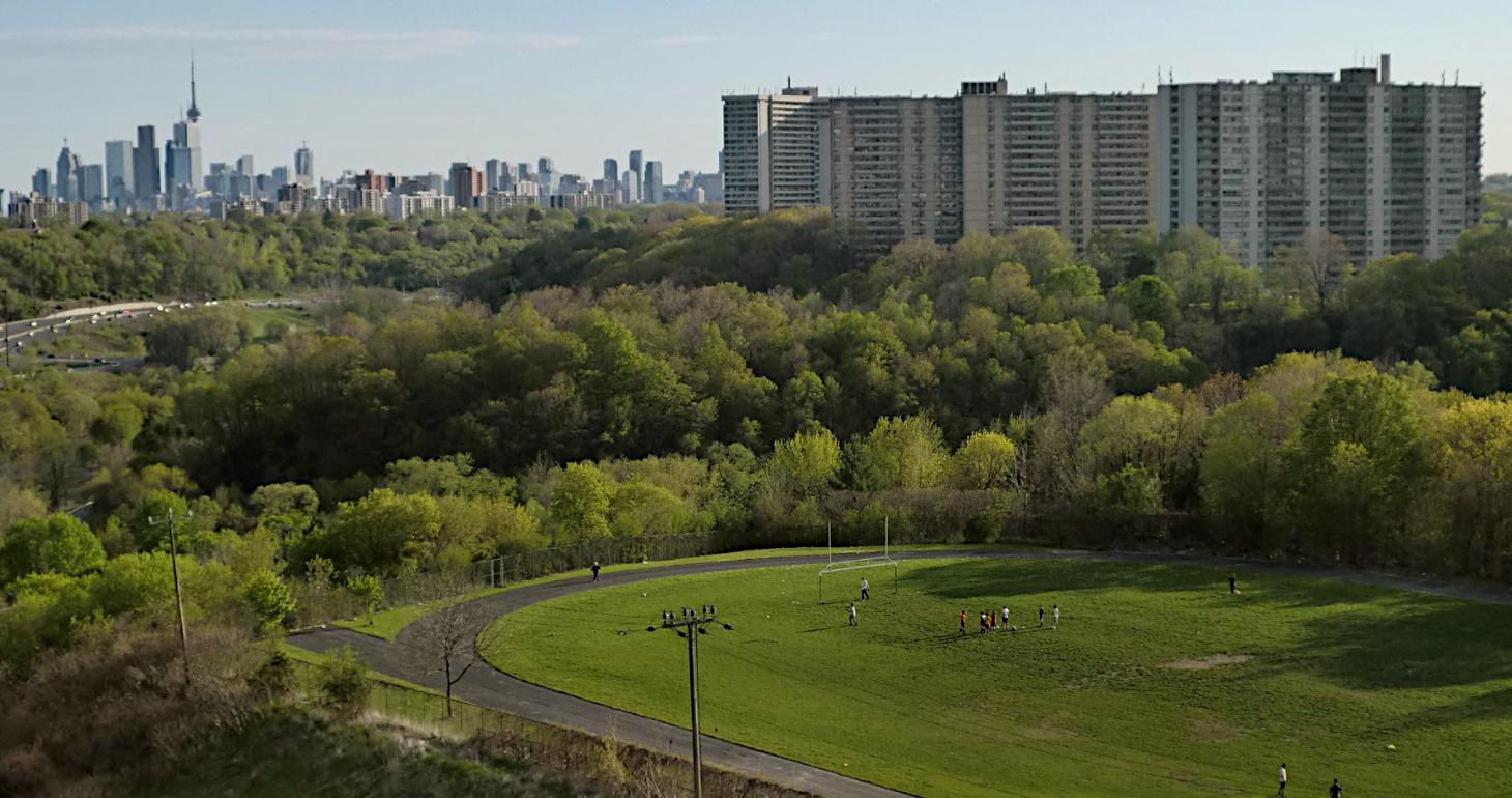 Auf einer grünen Wiese treiben Menschen Sport, im Hintergrund sind Bäume, hohe Gebäude und die Skyline der Stadt zu sehen.