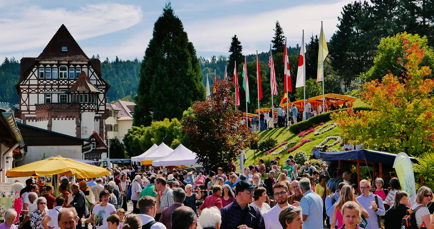 Eine große Menschenmenge genießt ein Open-Air-Festival mit Ständen, Fahnen und einem malerischen Gebäude im Hintergrund.