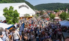 Eine große Menschenmenge versammelt sich bei einem Freiluftfestival in einer kleinen Stadt, die von grünen Hügeln und Gebäuden umgeben ist.