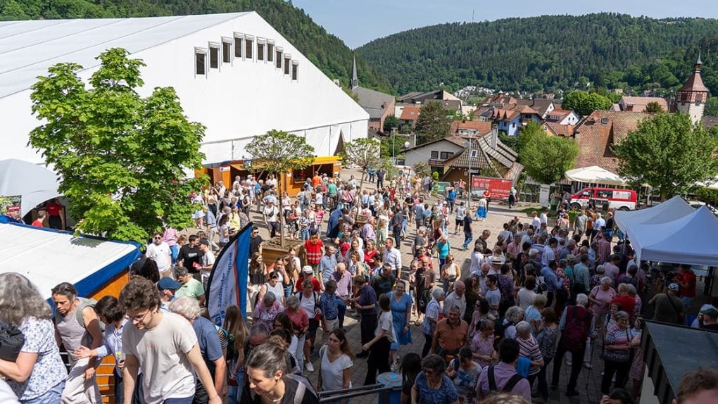 Eine große Menschenmenge versammelt sich bei einem Freiluftfestival in einer kleinen Stadt, die von grünen Hügeln und Gebäuden umgeben ist.