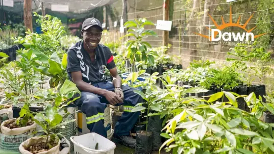Tree nursery