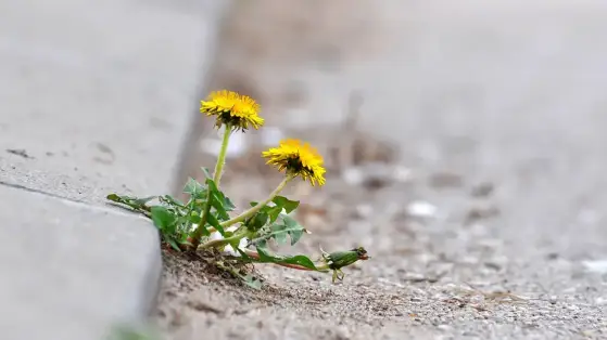 Was gibt Hoffnung?