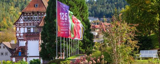 Assistenz des Geschäftsführers